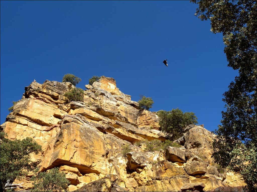 Foto de Somaen (Soria), España