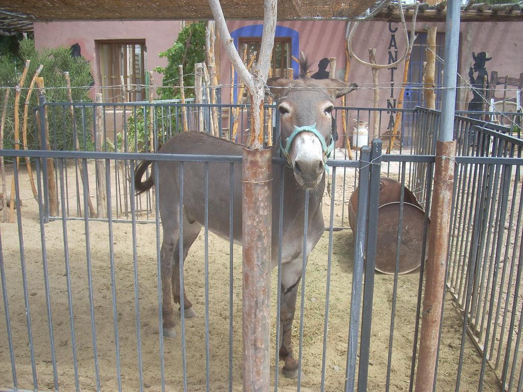 Foto de Gasden (Arizona), Estados Unidos