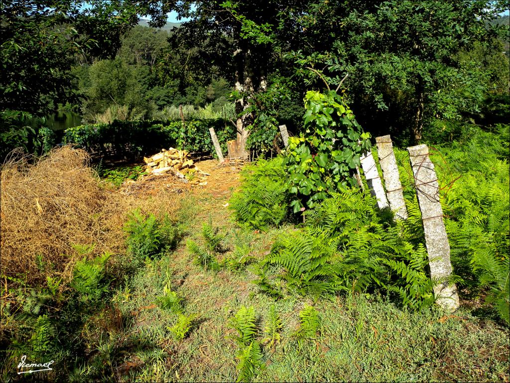 Foto de Arnoia (Ourense), España