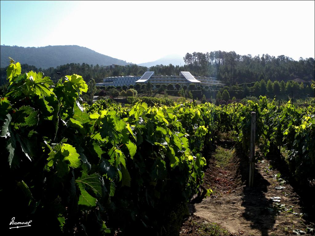 Foto de Arnoia (Ourense), España