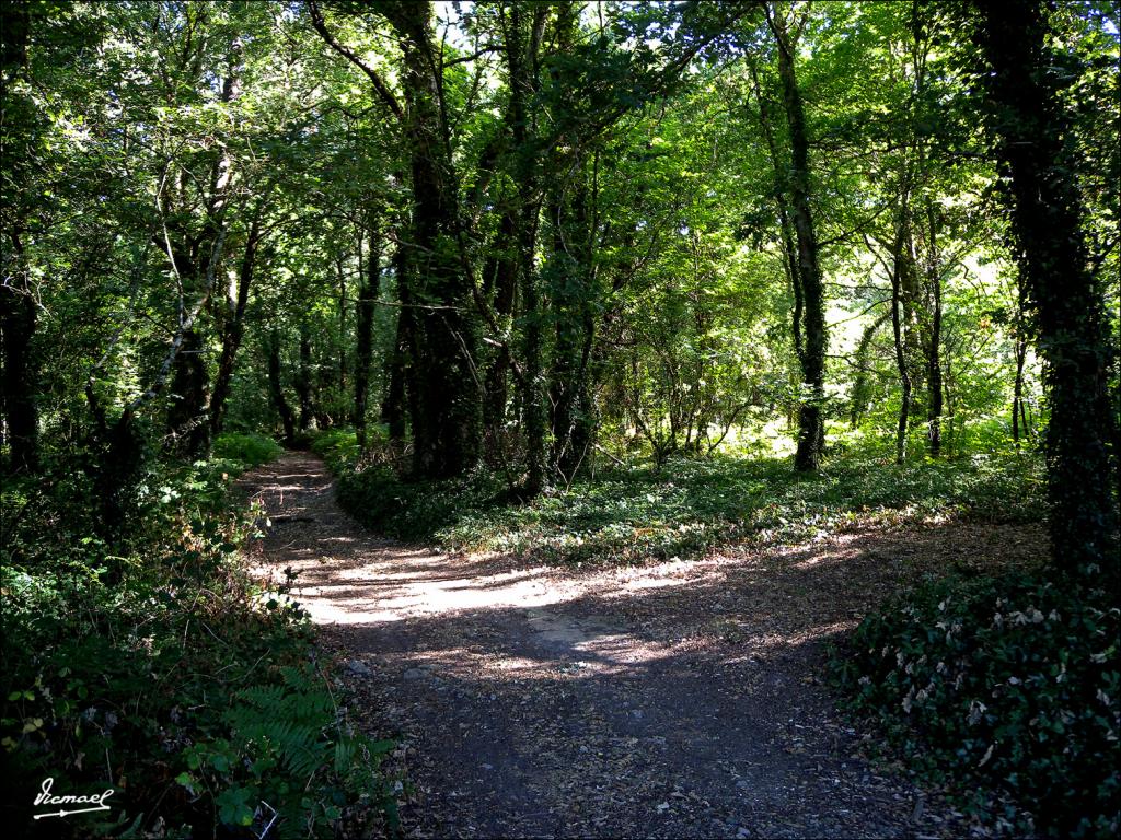 Foto de Arnoia (Ourense), España