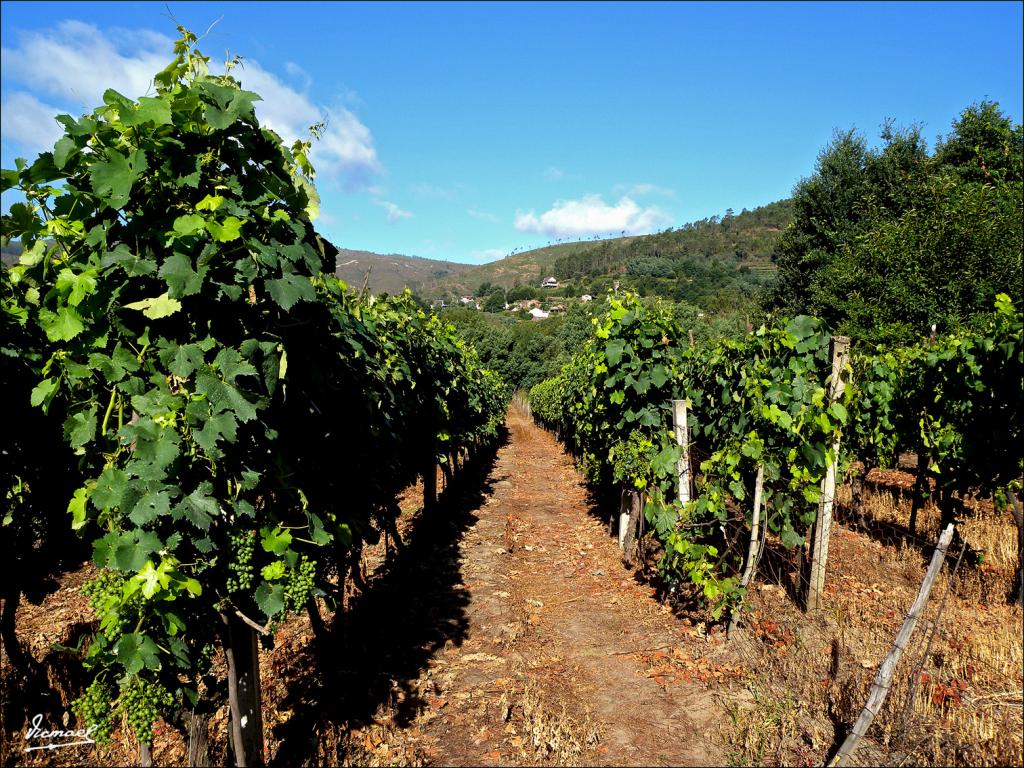 Foto de Arnoia (Ourense), España