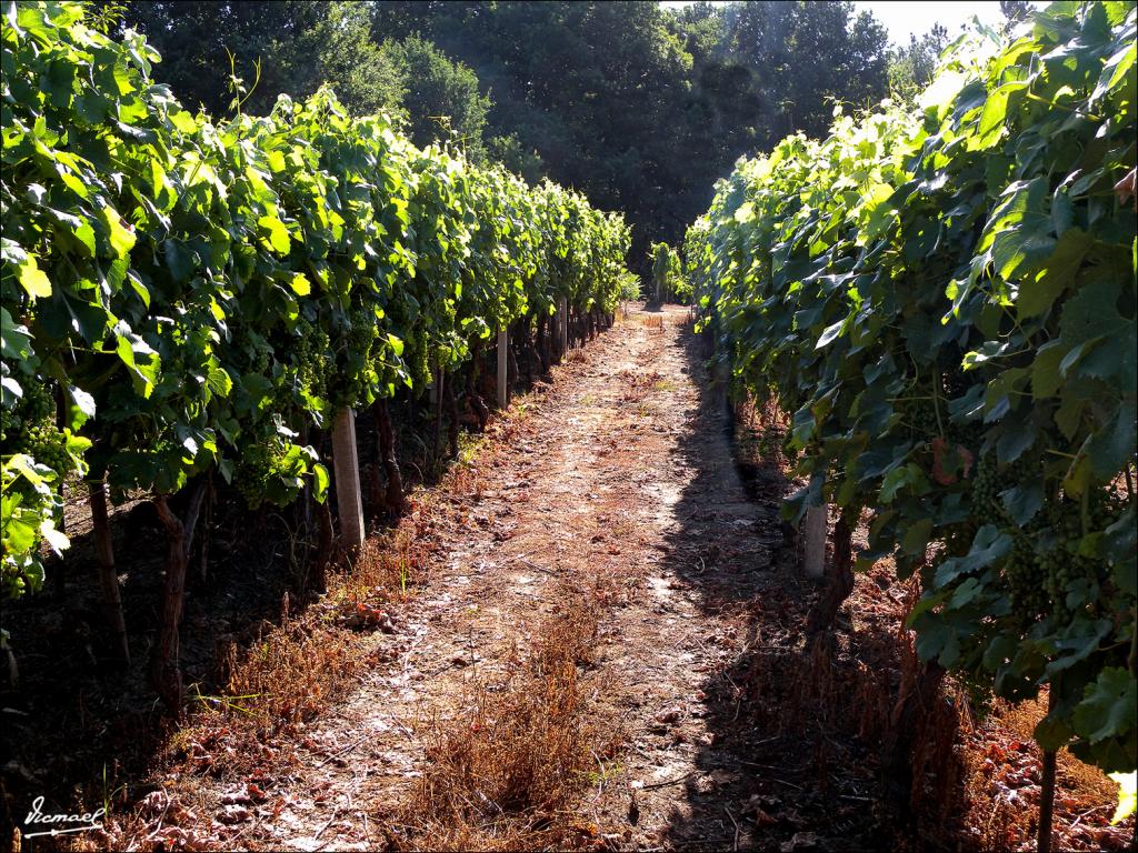 Foto de Arnoia (Ourense), España
