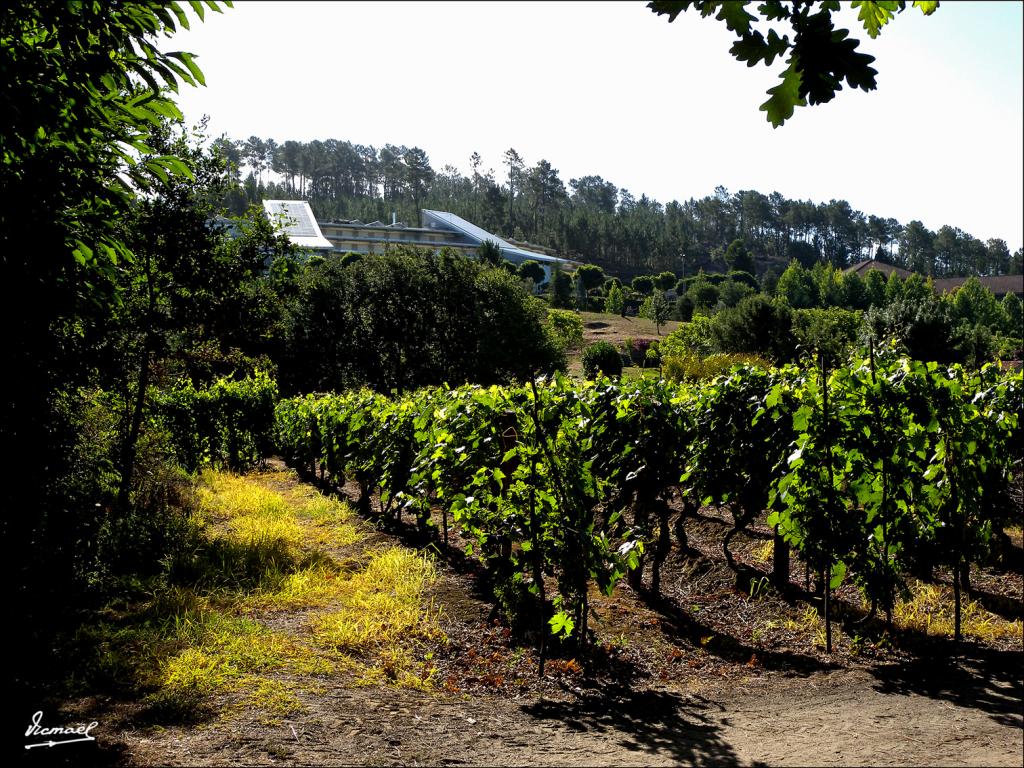 Foto de Arnoia (Ourense), España