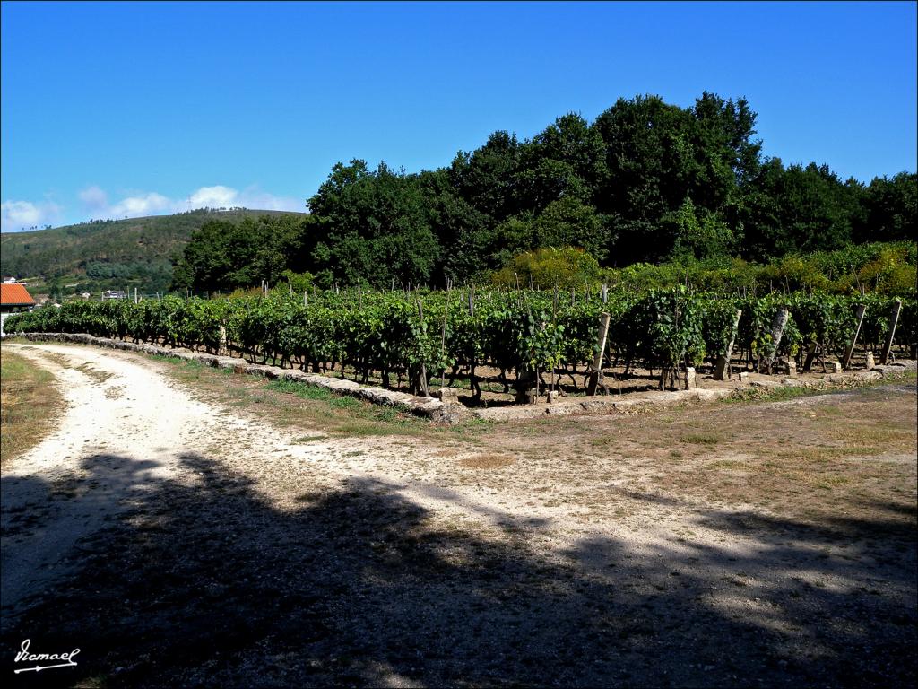 Foto de Arnoia (Ourense), España