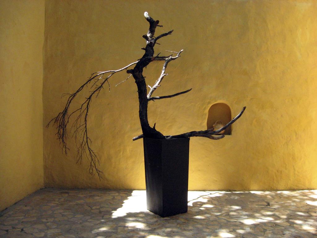 Foto de Carora, Venezuela