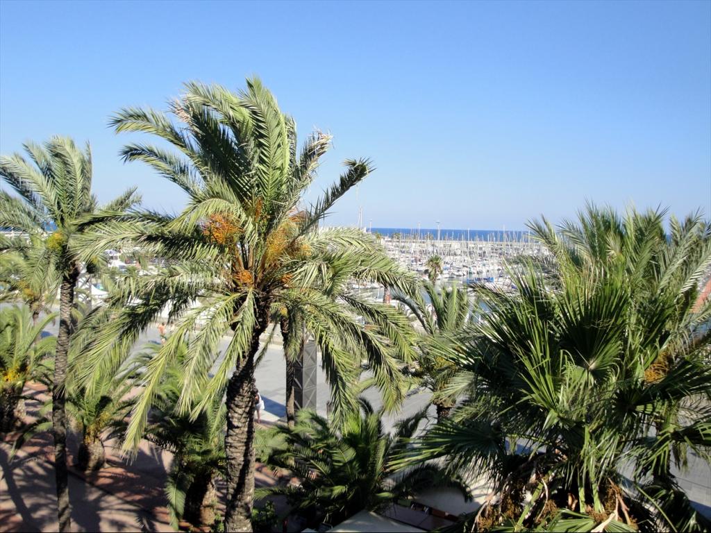 Foto de Barcelona (Cataluña), España