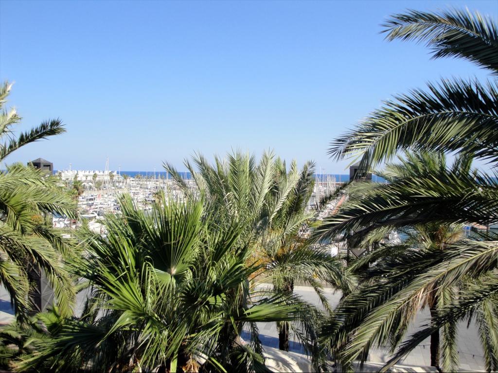 Foto de Barcelona (Cataluña), España