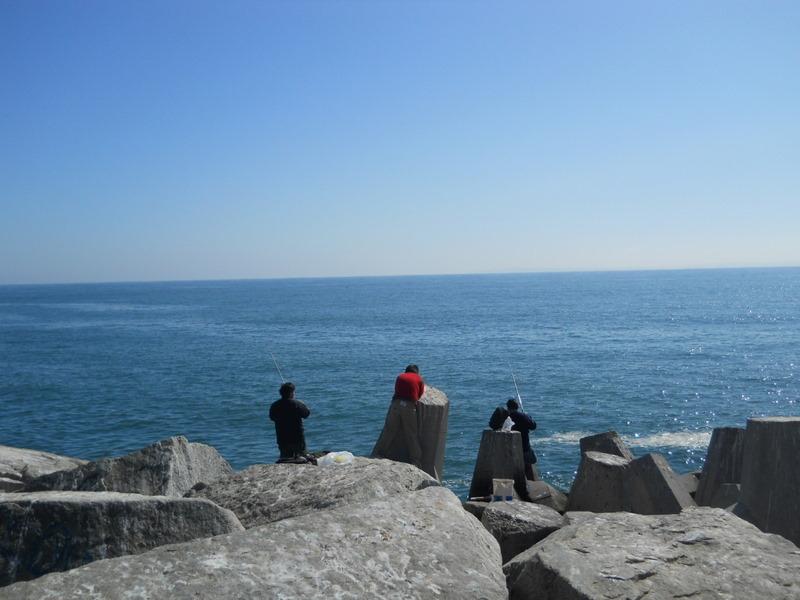 Foto de Concon, Chile