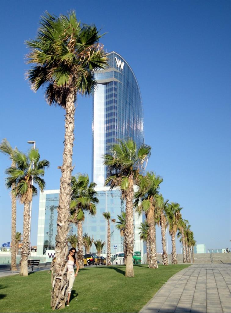 Foto de Barcelona (Cataluña), España