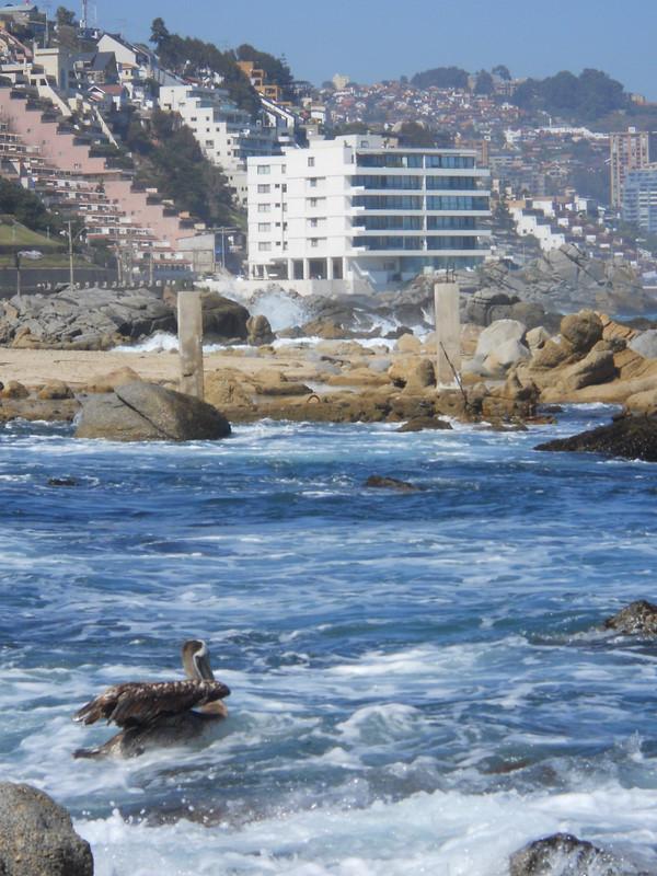 Foto de Viña del mar, Chile