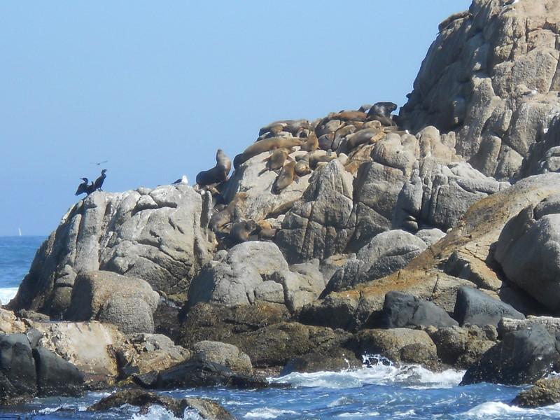 Foto de Viña del mar, Chile