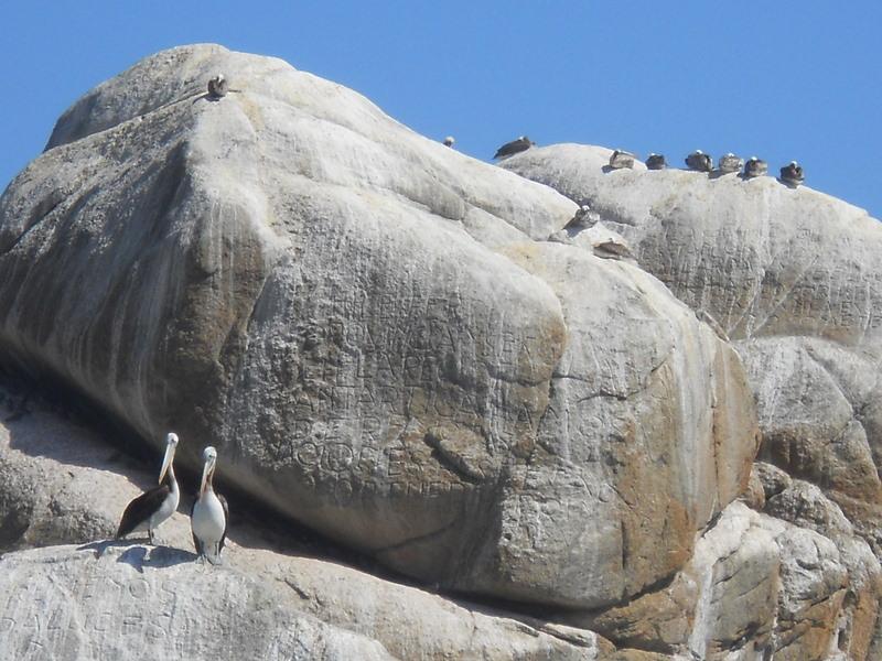 Foto de Viña del mar, Chile