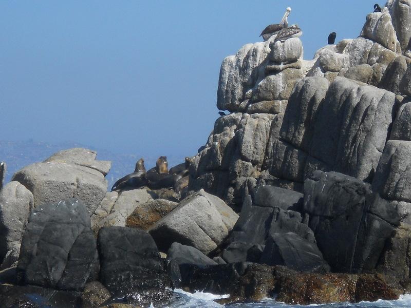 Foto de Viña del Mar, Chile