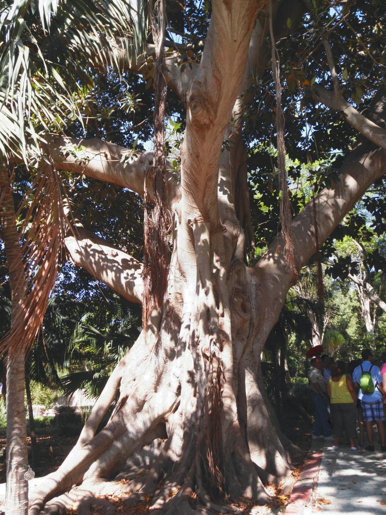 Foto de Attard, Malta