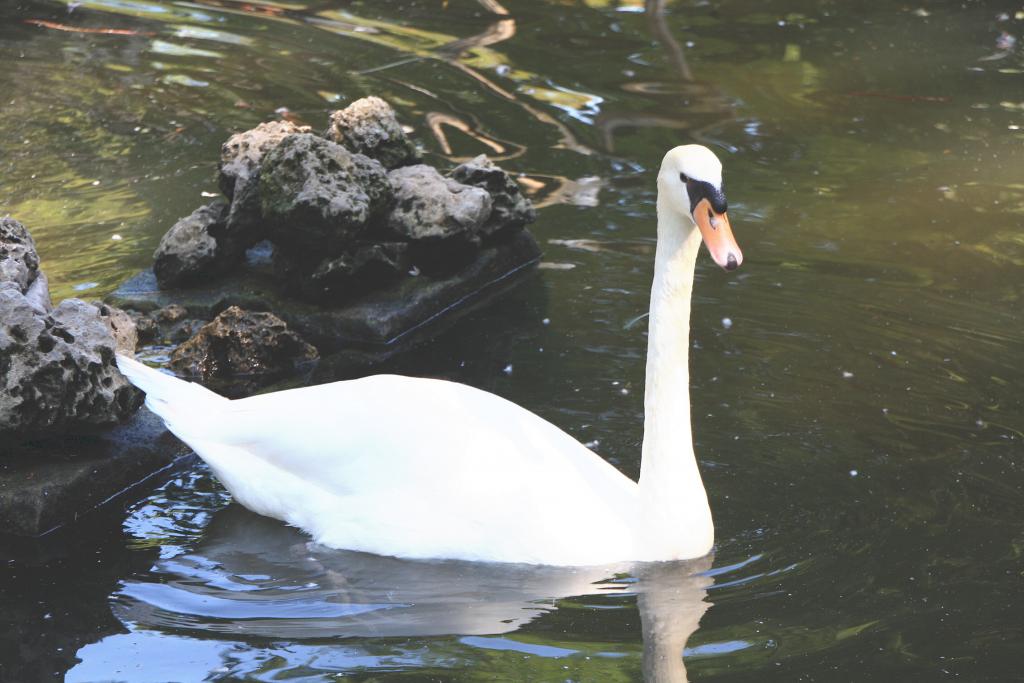 Foto de Attard, Malta