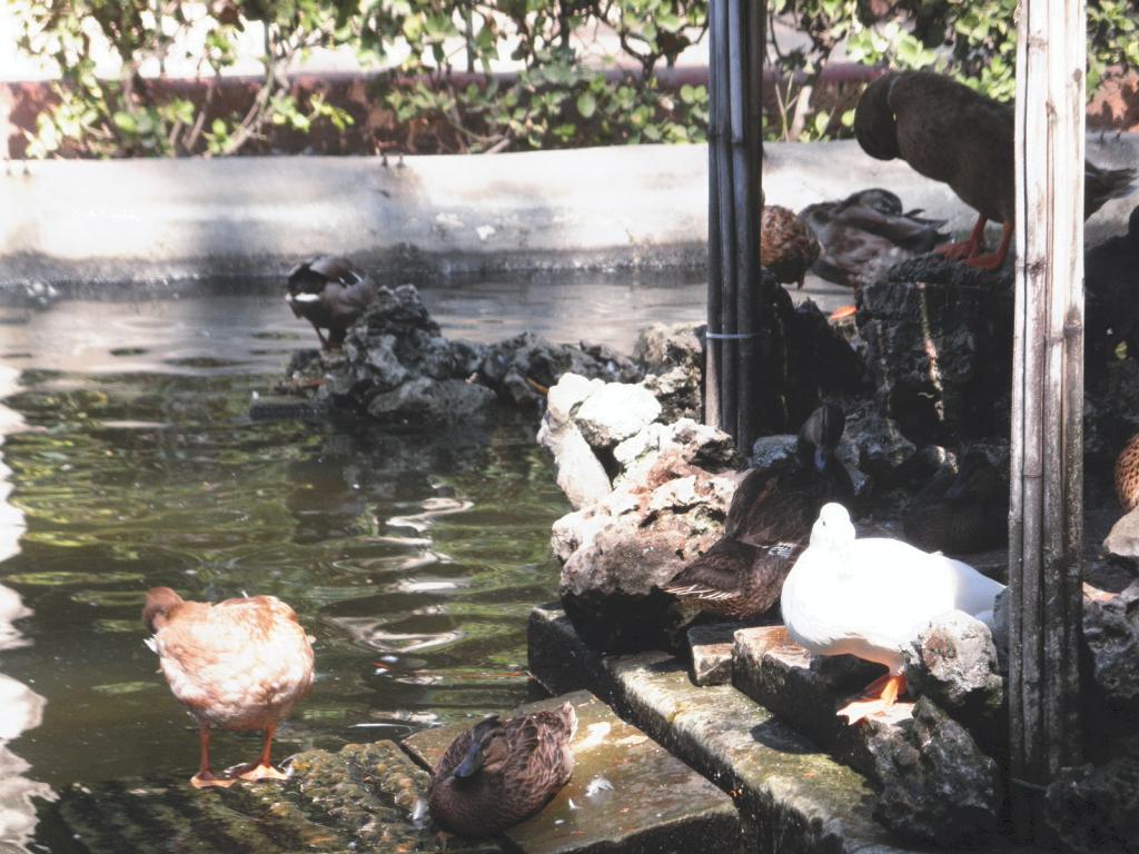 Foto de Attard, Malta