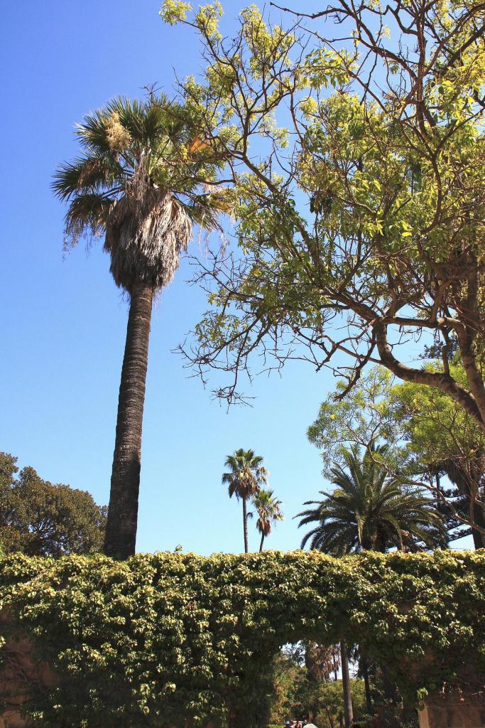 Foto de Attard, Malta