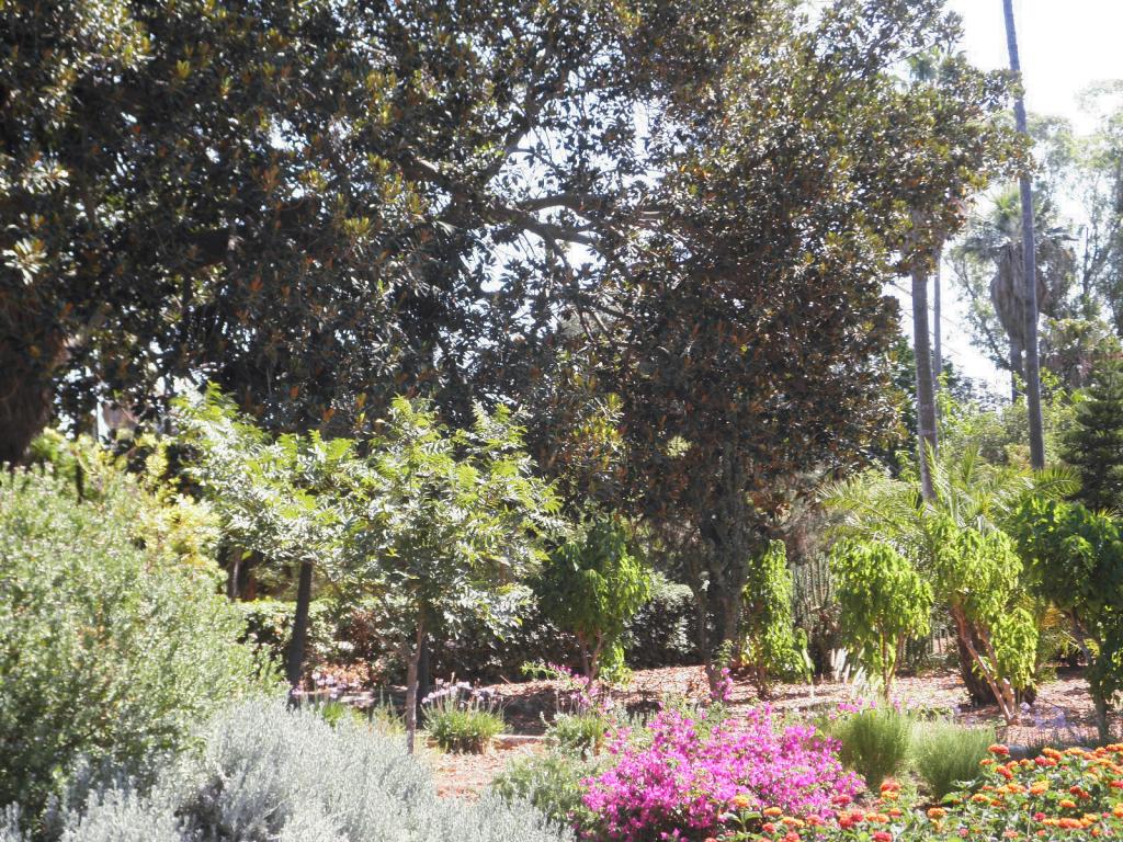 Foto de Attard, Malta