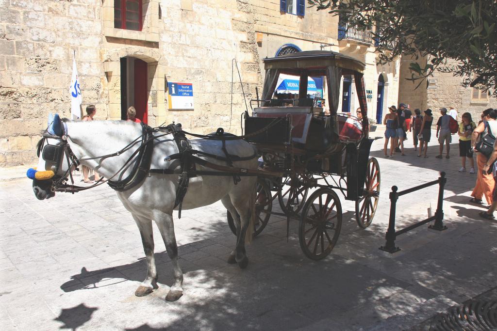Foto de Mdina, Malta