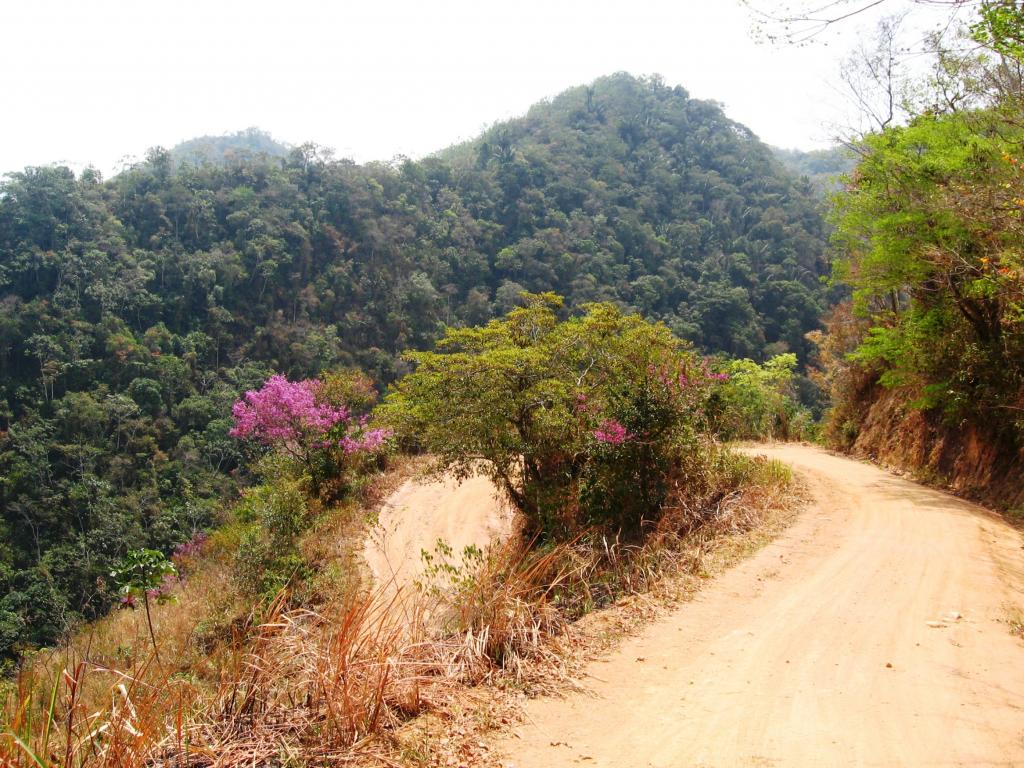 Foto de Chanchamayo, Perú