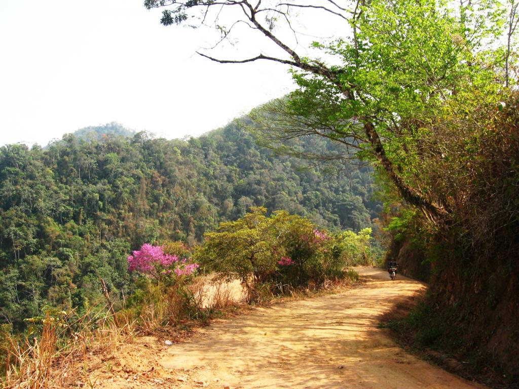 Foto de Chanchamayo, Perú