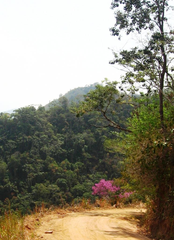 Foto de Chanchamayo, Perú