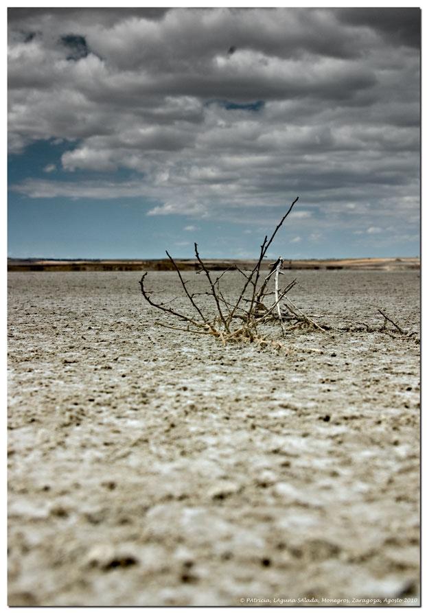 Foto de Bujaraloz (Zaragoza), España