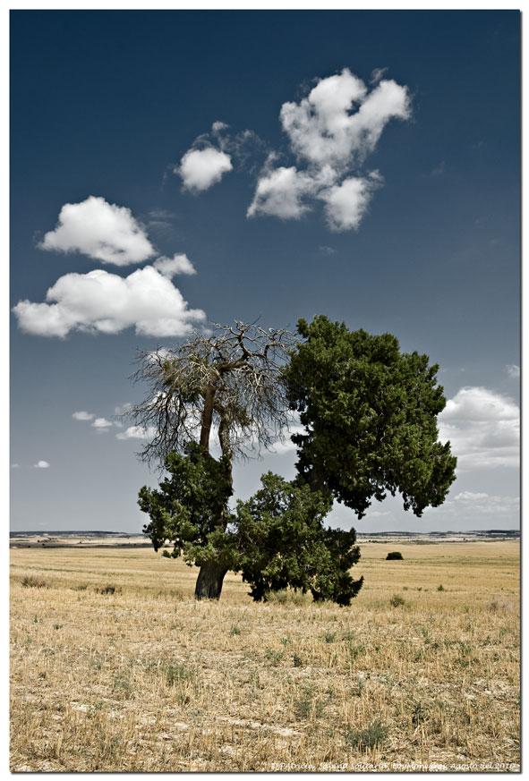 Foto de Monegrillo (Zaragoza), España