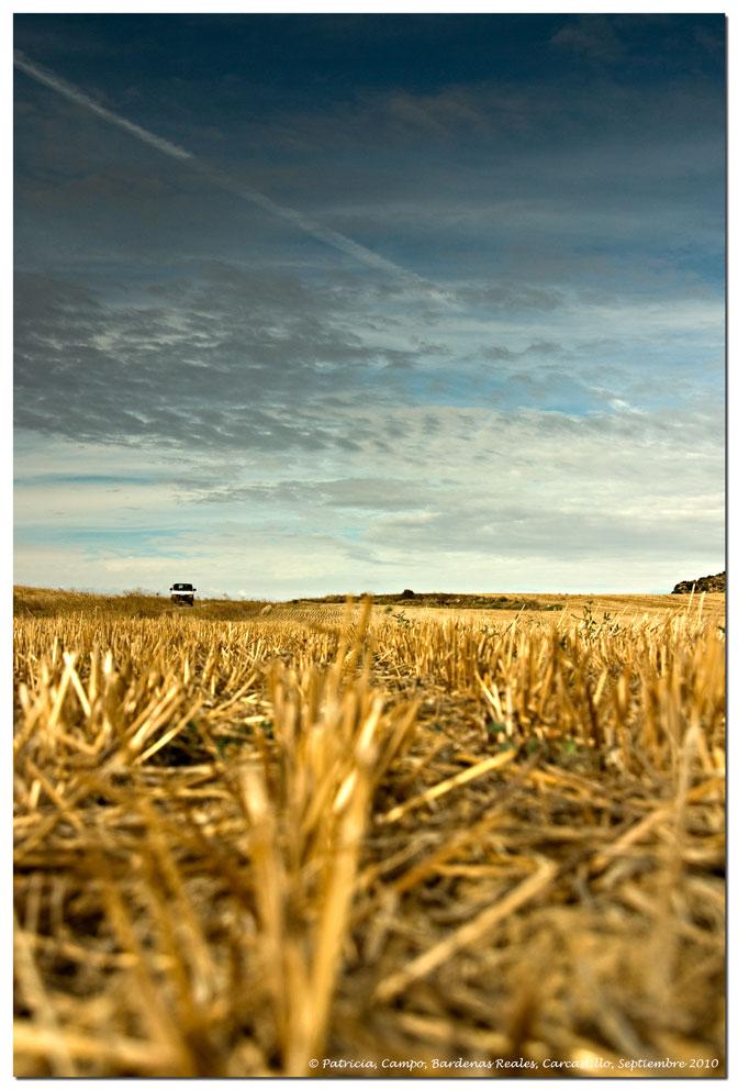 Foto de Carcastillo (Navarra), España