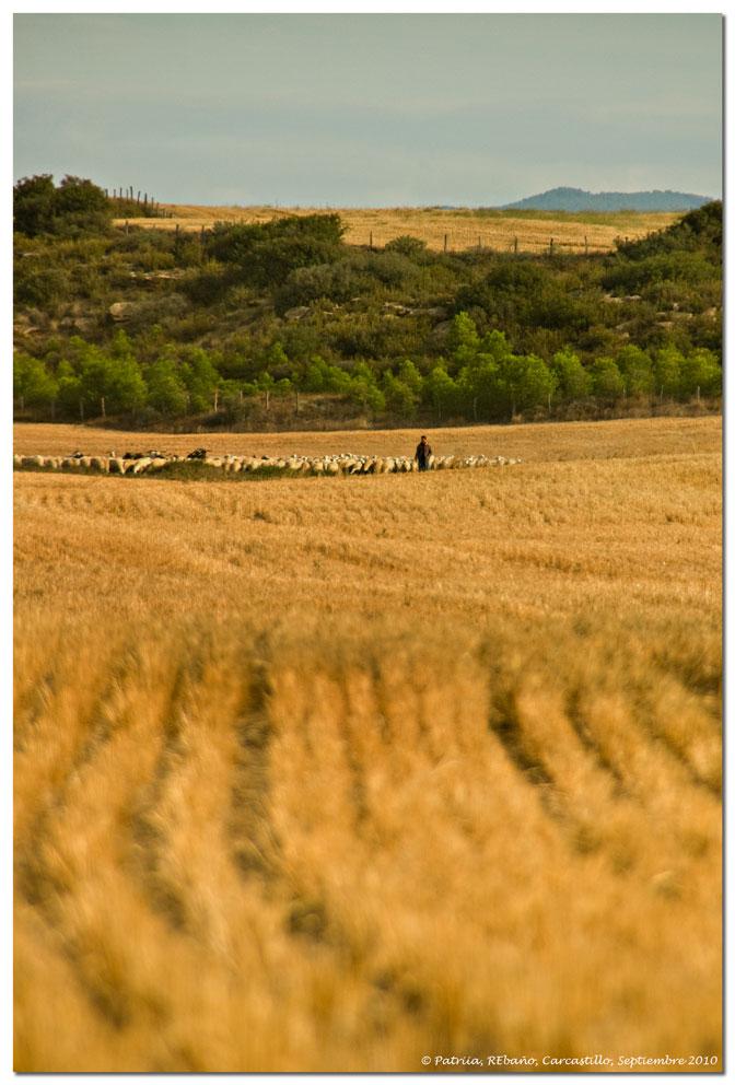 Foto de Carcastillo (Navarra), España