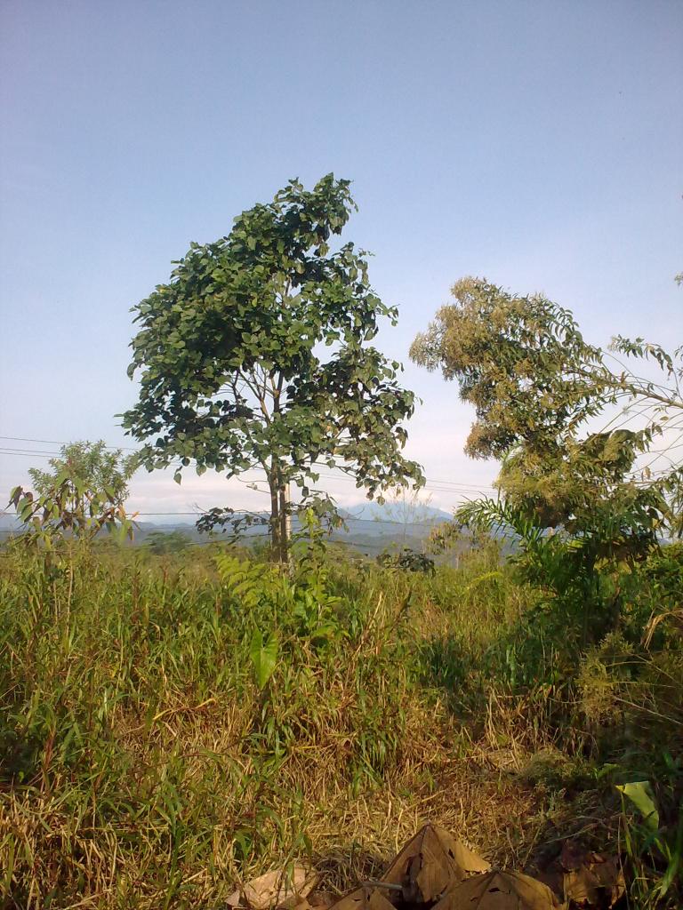 Foto de Shell-Pastaza, Ecuador