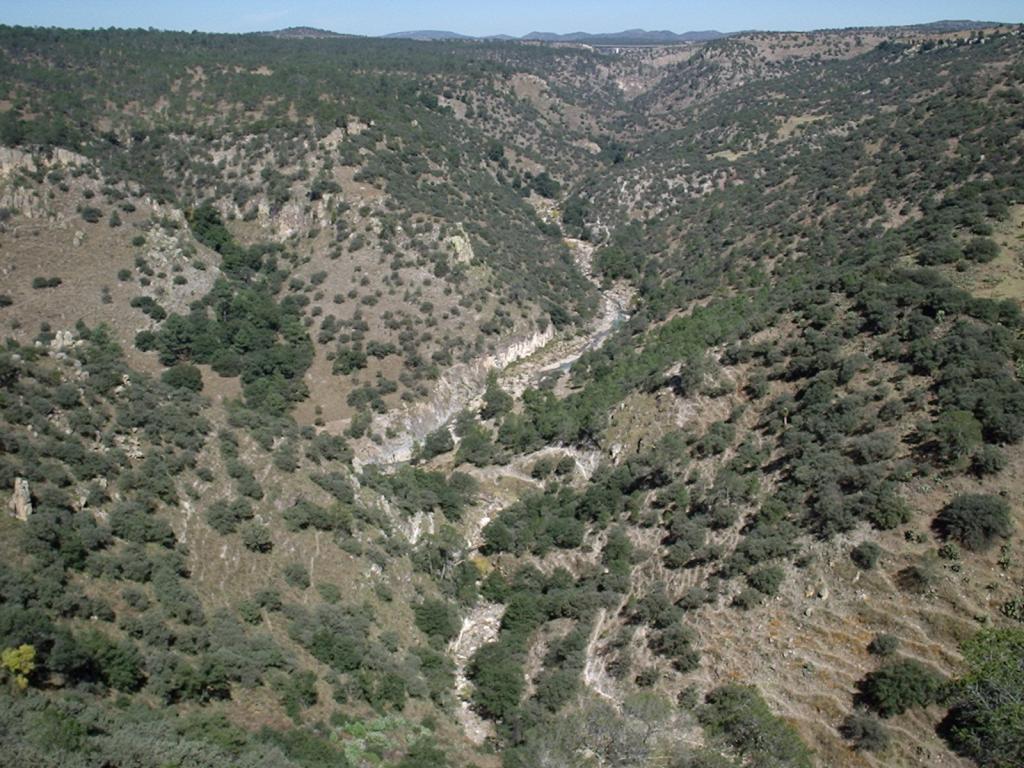 Foto de Durango, México