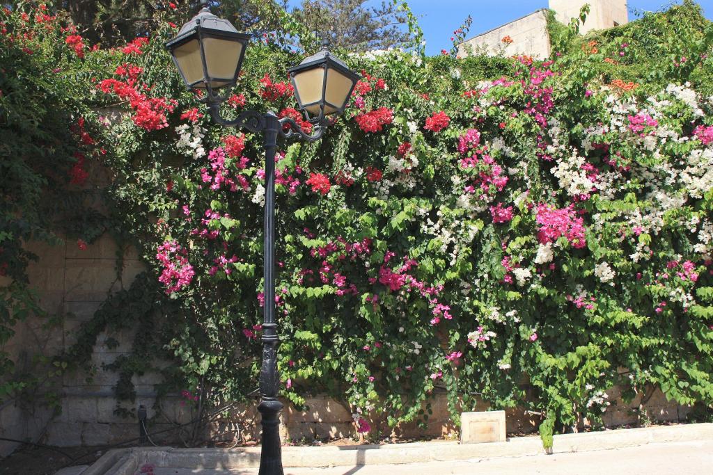 Foto de Naxxar, Malta