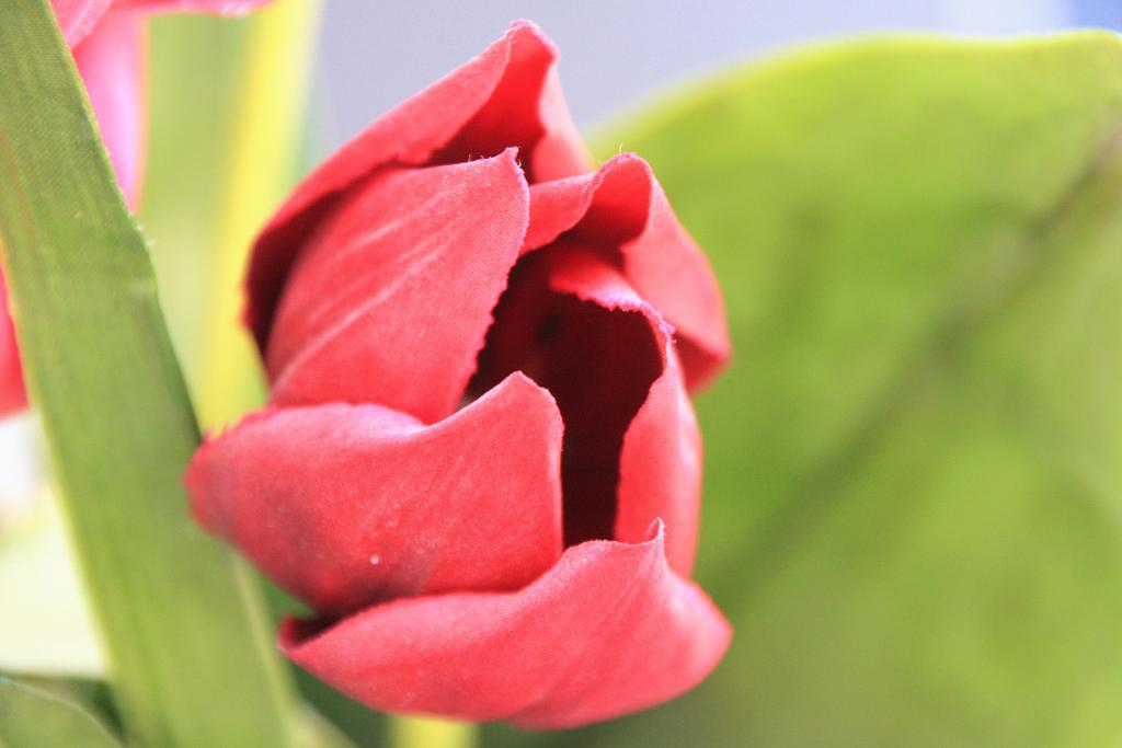 Foto de Naxxar, Malta
