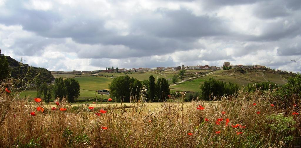 Foto de Peñaflor de Hornija (Valladolid), España