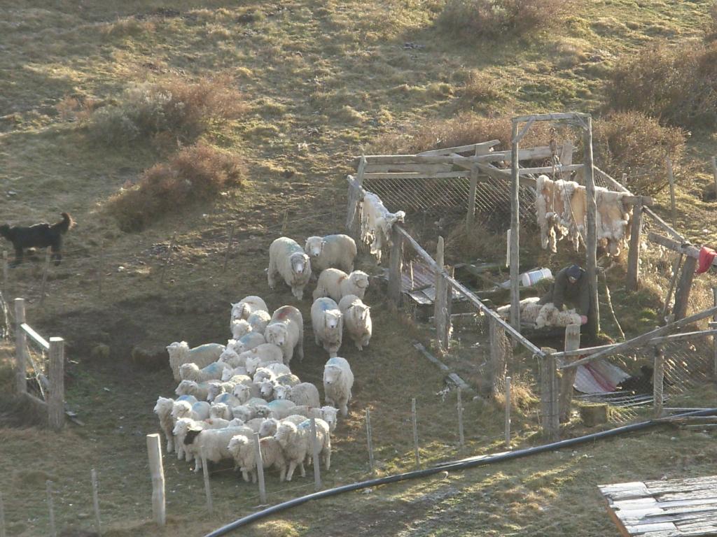 Foto de Isla Grande (Tierra del Fuego), Chile