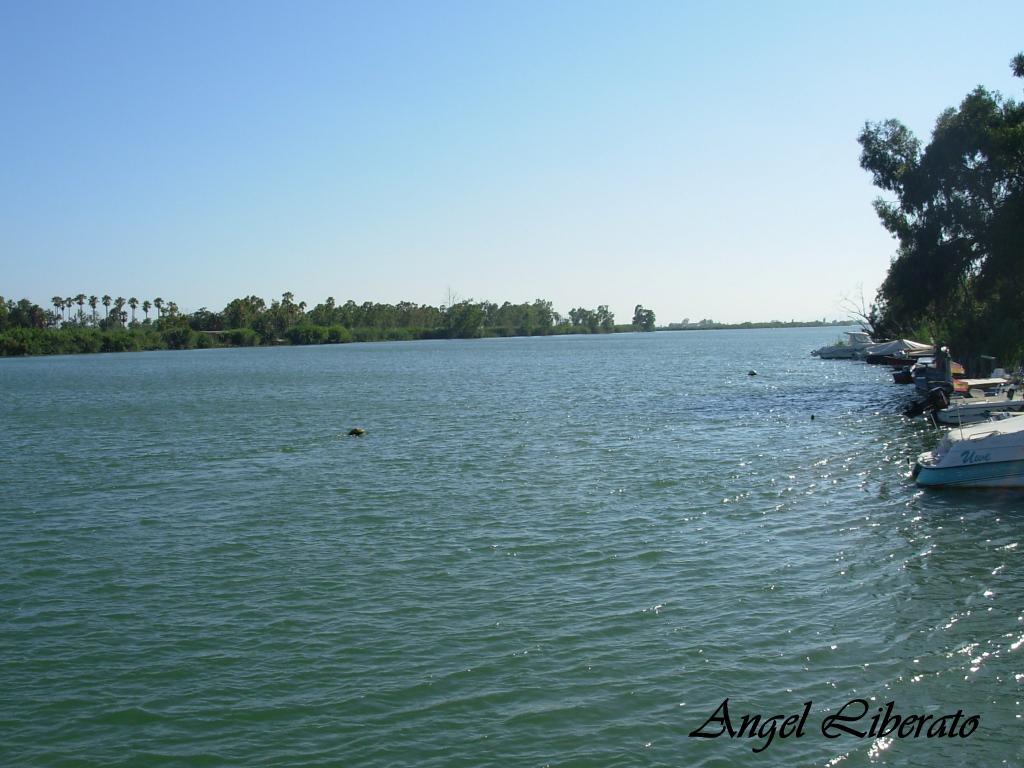 Foto de Deltebre (Tarragona), España