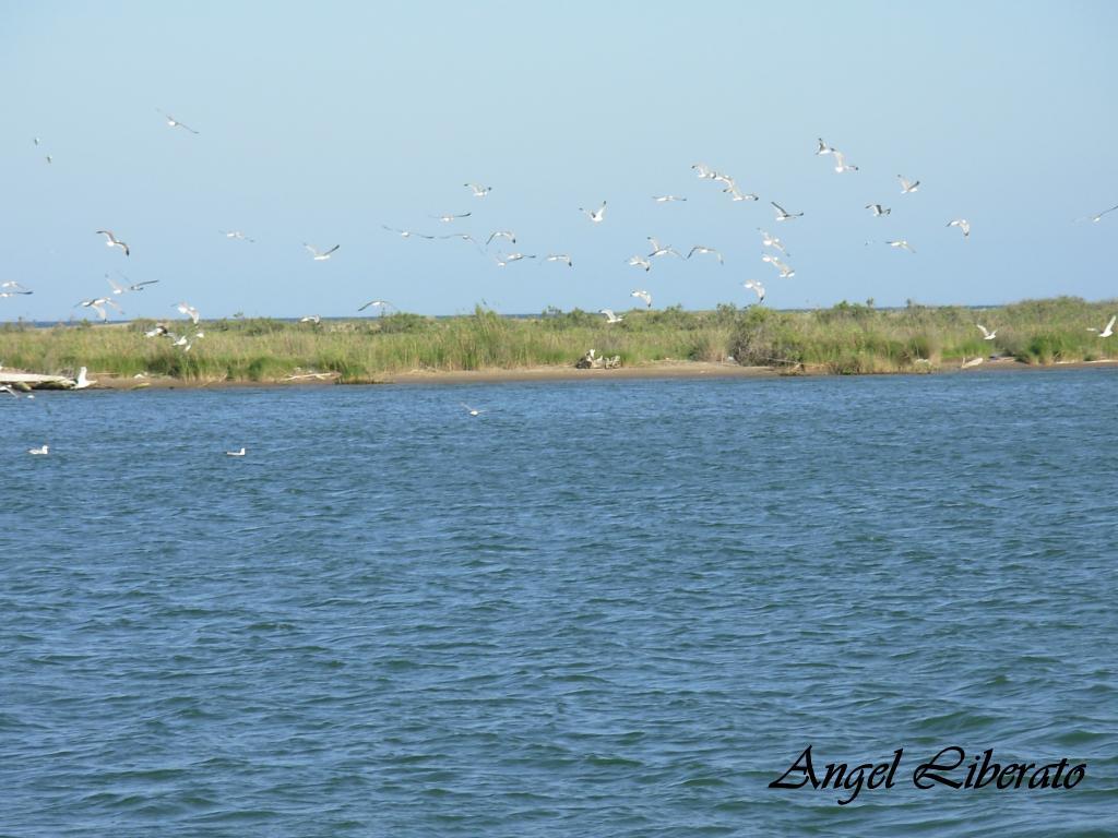 Foto de Deltebre (Tarragona), España