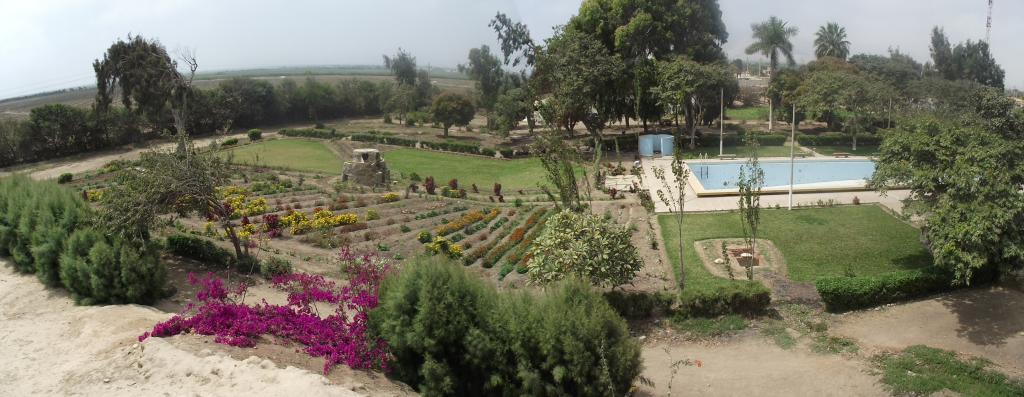 Foto de Chiquitoy, Perú