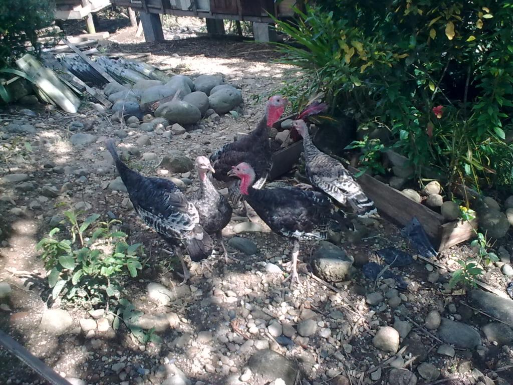 Foto de Te Zulay, Ecuador