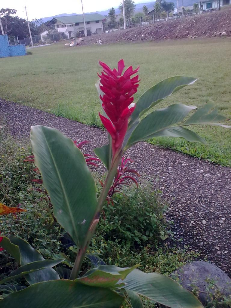 Foto de Shell, Ecuador