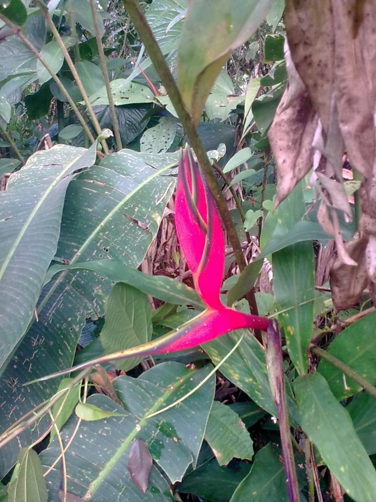 Foto de Shell, Ecuador