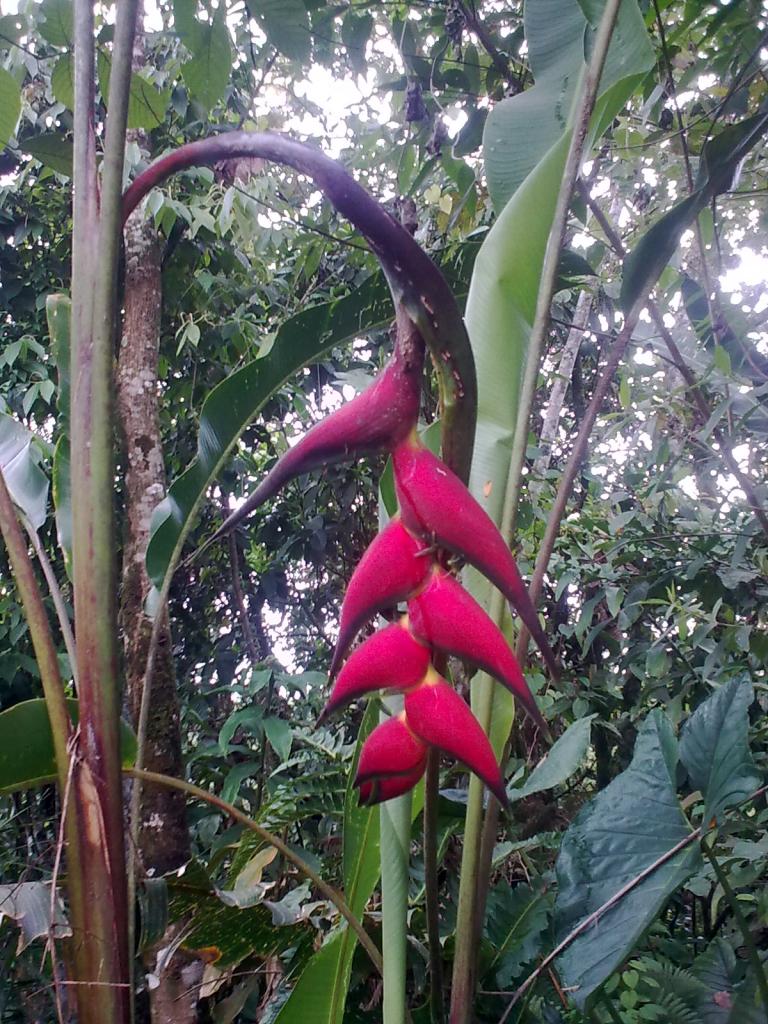 Foto de Shell, Ecuador