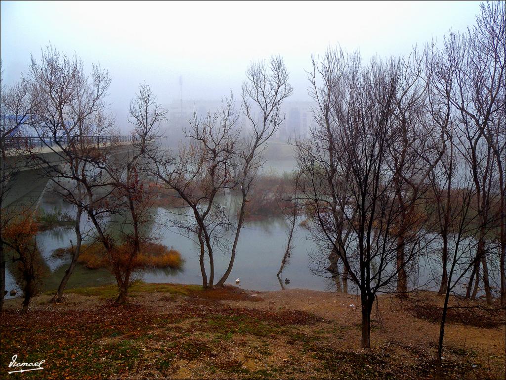 Foto de Zaragoza (Aragón), España