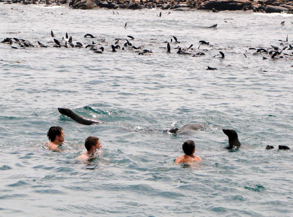 Foto de Punta del Este, Uruguay