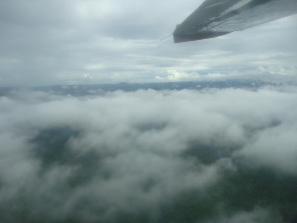 Foto de Shell, Ecuador