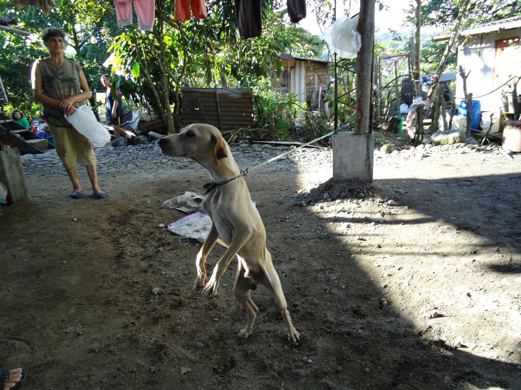 Foto de Puyo, Ecuador