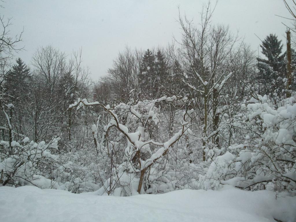 Foto de London (Ontario), Canadá