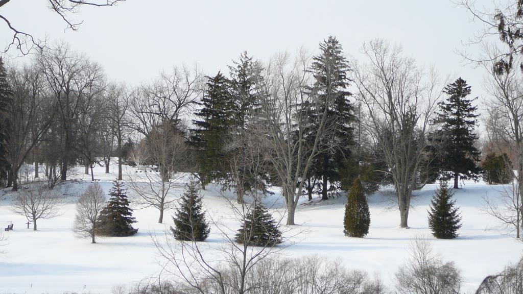Foto de London (Ontario), Canadá